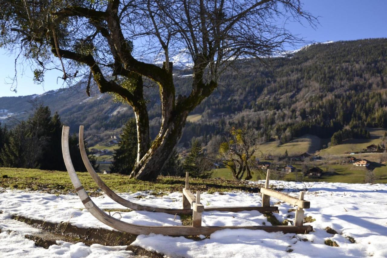 Les Picaillons - Le Chalet Les Villards-sur-Thônes Eksteriør bilde